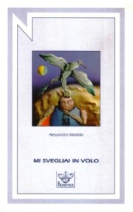 Mi svegliai in volo. Copertina