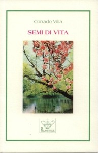 Villa. Copertina